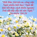 Tựa:  Thi-thiên 104:24
Diễn Giả:  DN
Xem:  714