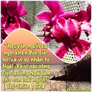 Tựa:  Thi-thiên 107:8
Diễn Giả:  DN
Xem:  849