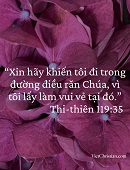 Tựa:  Thi-thiên 119:35
Diễn Giả:  DN
Xem:  52