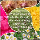 Tựa:  Thi-thiên 139:13
Diễn Giả:  DN
Xem:  410