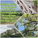 Tựa:  Thi-thiên 140:7
Diễn Giả:  DN
Xem:  680