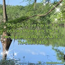Tựa:  Thi-thiên 145:8
Diễn Giả:  DN
Xem:  465