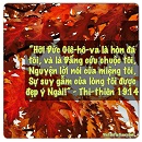 Tựa:  Thi-thiên 19:14
Diễn Giả:  DN
Xem:  604