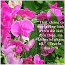 Tựa:  Truyền-đạo 7:20
Diễn Giả:  DN
Xem:  1485