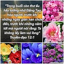 Tựa:  Truyền-đạo 12:1
Diễn Giả:  DN
Xem:  931