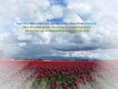 Tựa:  Ê-phê-sô 1:3
Diễn Giả:  FB / KienThucKinhThanh
Xem:  853