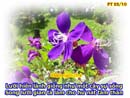 Tựa:  Châm-ngôn 15:4
Diễn Giả:  Huỳnh Trâm
Xem:  677