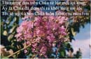 Tựa:  Thi-thiên 71:6
Diễn Giả:  DN
Xem:  818
