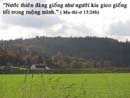 Tựa:  Ma-thi-ơ 13:24b
Diễn Giả:  Thái Nguyễn
Xem:  609