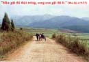 Tựa:  Ma-thi-ơ 9:37
Diễn Giả:  Helen Jiang
Xem:  931
