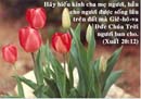 Tựa:  Xuất Ê-díp-tô Ký 20:12
Diễn Giả:  Thái Nguyễn
Xem:  1122
