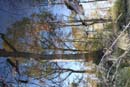 Winter Photo