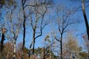 Winter Photo