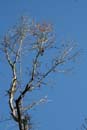 Winter Photo