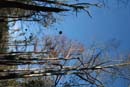 Winter Photo
