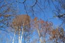 Winter Photo