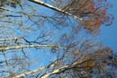 Winter Photo
