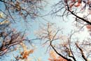 Winter Photo