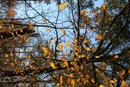 Winter Photo