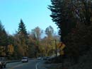 Autumn Photo