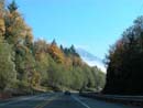 Autumn Photo