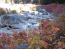 Autumn Photo