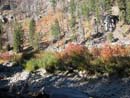 Autumn Photo
