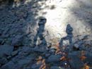 Autumn Photo