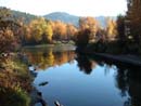 Autumn Photo