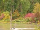 Autumn Photo