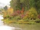 Autumn Photo