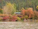 Autumn Photo