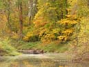 Autumn Photo