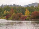 Autumn Photo