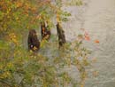 Autumn Photo