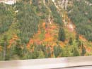 Autumn Photo