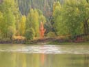 Autumn Photo