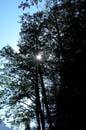 Autumn Photo