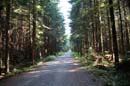 Autumn Photo