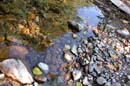 Autumn Photo