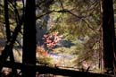 Autumn Photo