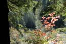 Autumn Photo