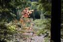 Autumn Photo