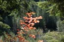 Autumn Photo