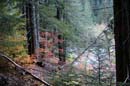 Autumn Photo