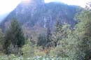 Autumn Photo
