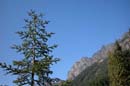 Autumn Photo