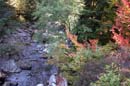 Autumn Photo