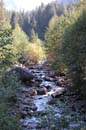 Autumn Photo