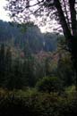 Autumn Photo